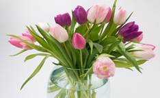A bouquet of tulips in a glass vase

Description automatically generated