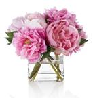 Pink peony flowers in a transparent glass vase